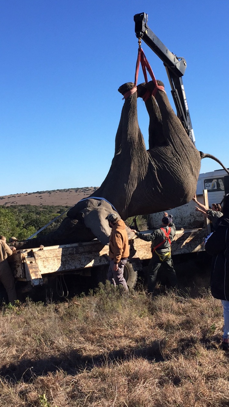 Fotos: Camila Daccache